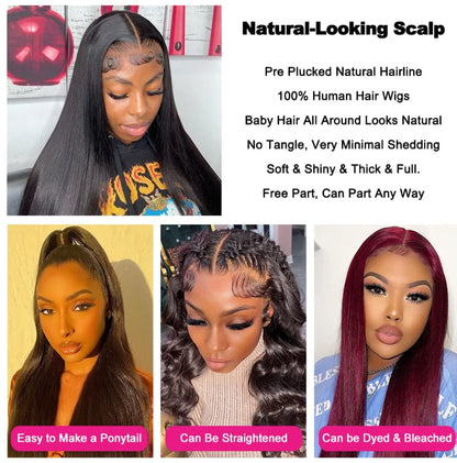 13x4 Brazilian Remy lace front wig - long straight hair with French lace - daily and office styling